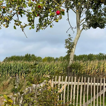 „seit 1911“ - Hof Muehlenkoppel Hasselberg (Schleswig-Holstein)